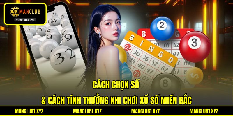 Cách chọn số & cách tính thưởng khi chơi xổ số miền Bắc Cách chọn số & cách tính thưởng khi chơi xổ số miền Bắc