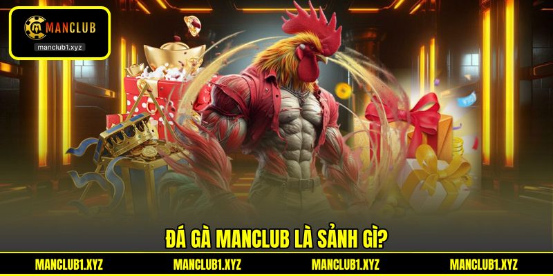 Đá gà MANCLUB là sảnh gì? Đá gà MANCLUB là sảnh gì?