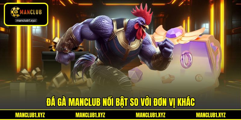 Đá Gà MANCLUB nổi bật so với đơn vị khác Đá Gà MANCLUB nổi bật so với đơn vị khác