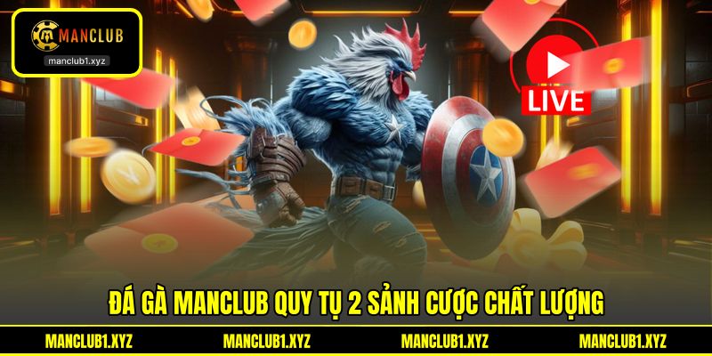 Đá gà MANCLUB quy tụ 2 sảnh cược chất lượng Đá gà MANCLUB quy tụ 2 sảnh cược chất lượng