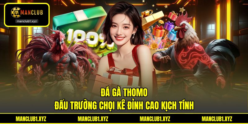 Đá Gà Thomo - Đấu Trường Chọi Kê Đỉnh Cao Kịch Tính