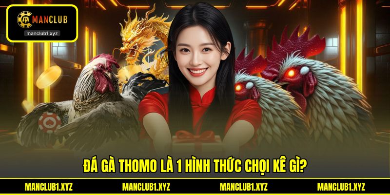 Đá gà Thomo là 1 hình thức chọi kê gì?