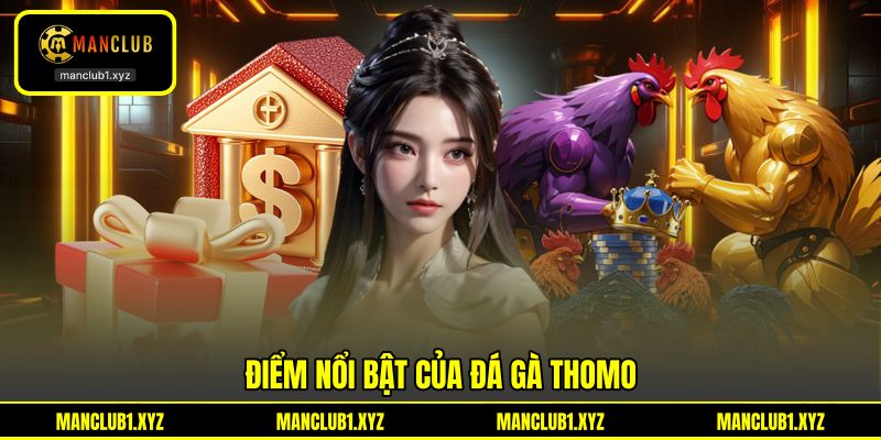 Điểm nổi bật của đá gà Thomo