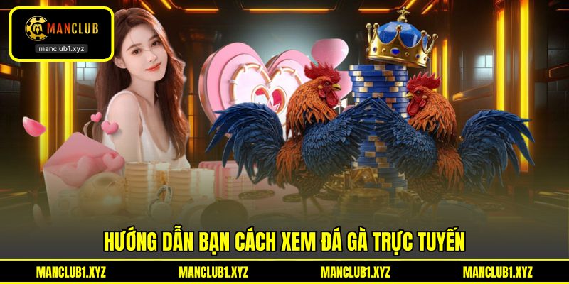 Hướng dẫn bạn cách xem đá gà trực tuyến