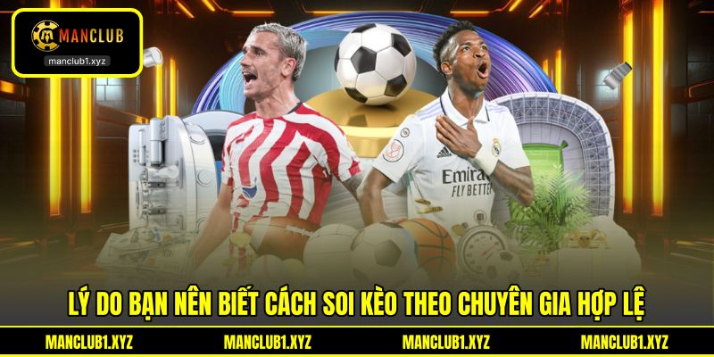 Lý do bạn nên biết cách soi kèo theo chuyên gia hợp lệ
