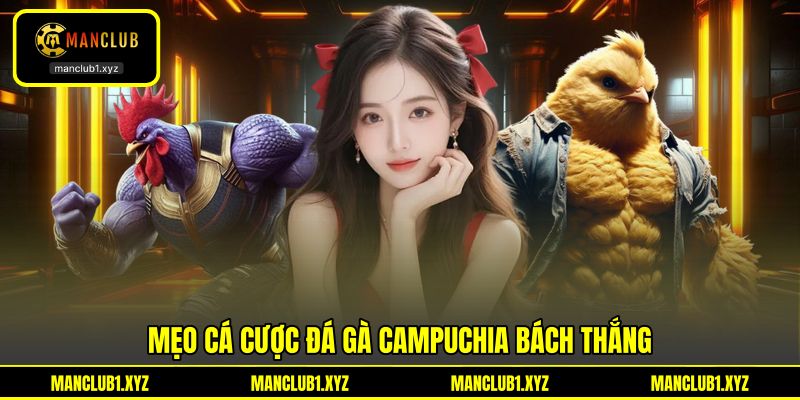 Mẹo cá cược đá gà Campuchia bách thắng