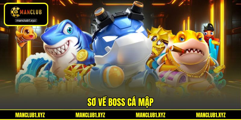 Sơ về boss cá mập