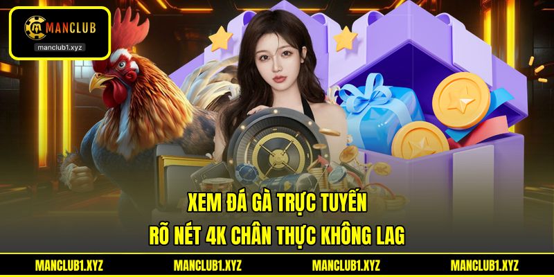 Xem Đá Gà Trực Tuyến Rõ Nét 4K Chân Thực Không Lag